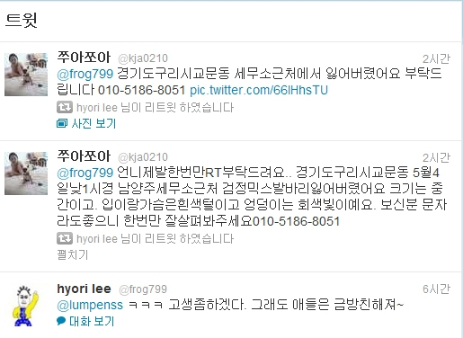 연예인들, 유기견 찾기에 적극적으로 활동