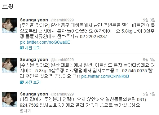 연예인들, 유기견 찾기에 적극적으로 활동