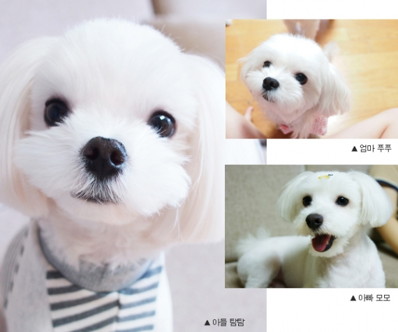 미그농하우스 신민영씨 인터뷰