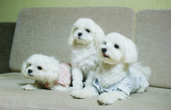 미그농하우스 신민영씨 인터뷰