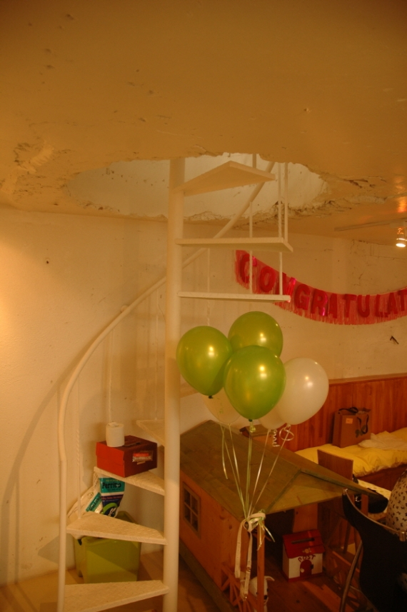 애견의류업체 이츠독, 신사동에 새로운 디스플레이 매장 오픈