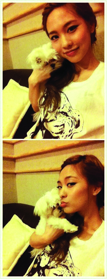 애견과 데이트하는 연예인들, SNS를 통해 사진으로 공개