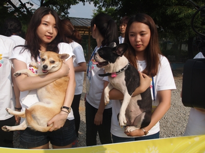 농식품부, 제2회 '미안해, 고마워! 유기동물 입양의 날' 행사