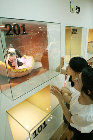 아이파크백화점, 반려동물 걱정 없는 여름 휴가 '반려동물 바캉스 서비스' 제공