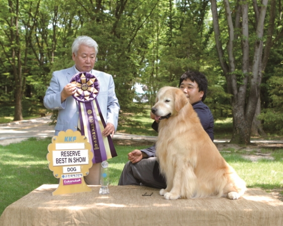 2012년 7월 8일 '천안 KKF 챔피언쉽 도그쇼' 성공 개최