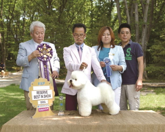2012년 7월 8일 '천안 KKF 챔피언쉽 도그쇼' 성공 개최