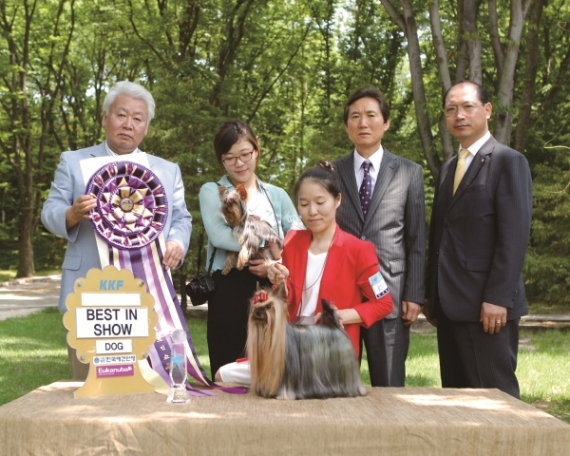 2012년 7월 8일 '천안 KKF 챔피언쉽 도그쇼' 성공 개최