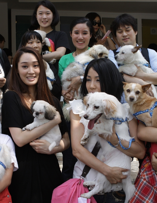 실천하는 동물사랑, 2010년 미스코리아 진 정소라