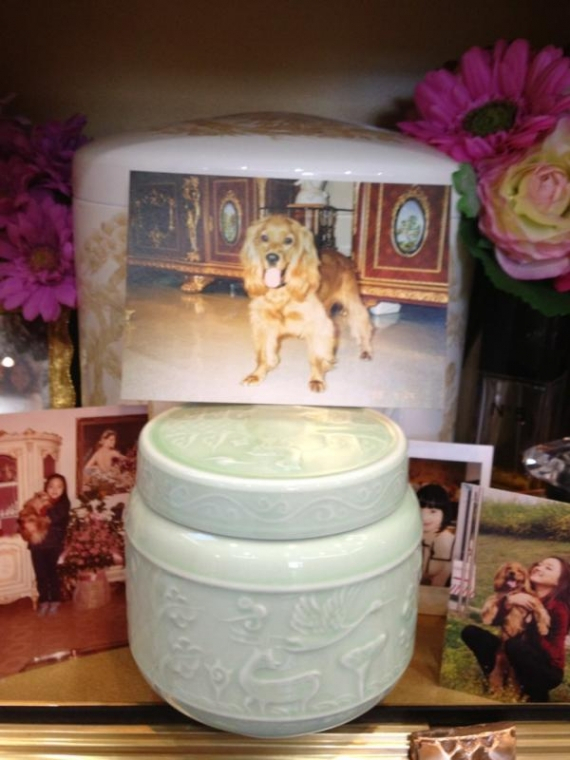 낸시랭, 자신의 애견 죽자 SNS를 통해 아픔전달