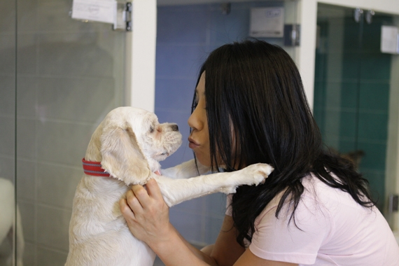 가수 양하영씨 인터뷰