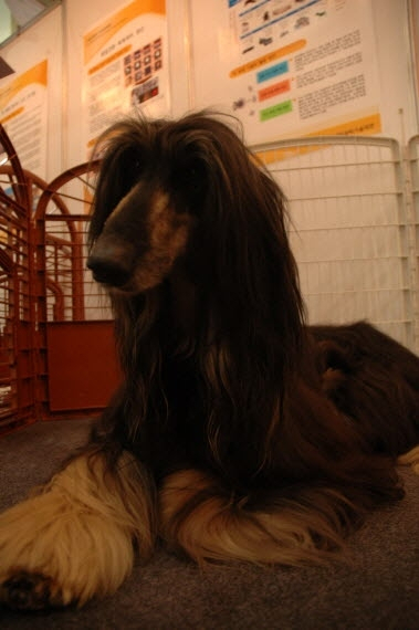 AT센터에서 2012 생명산업과학기술대전 개막