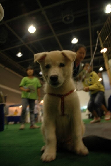 AT센터에서 2012 생명산업과학기술대전 개막