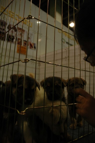 AT센터에서 2012 생명산업과학기술대전 개막