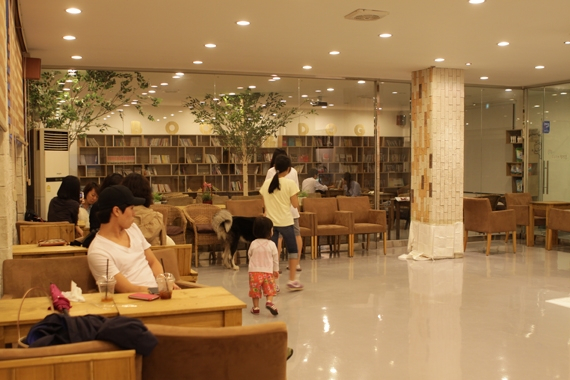 경기도 광명에 새롭게 오픈한 'Book & Dog' 애견카페