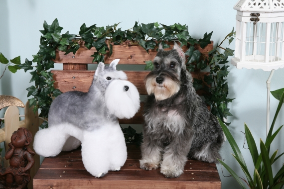 제1회 전국 DOGWIG 아트 경연 대회 열려