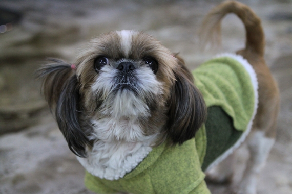 총망받는 배우 유안나씨 인터뷰