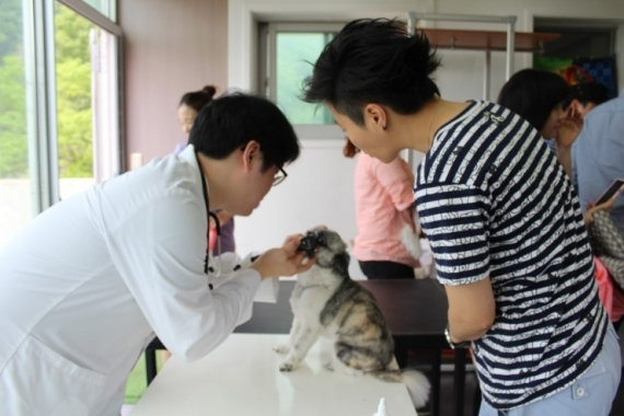 유기견 치료비 마련을 위한 'FREE MARKET' 행사 열려