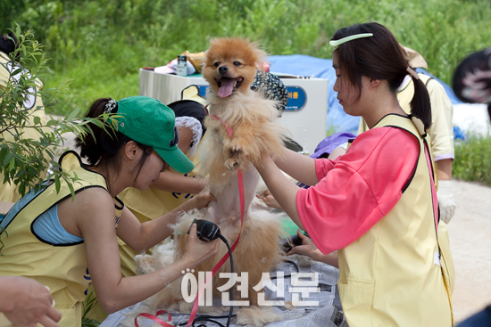 블루엔젤 봉사단, 마석유기견보호소에서 1기 봉사활동 가져