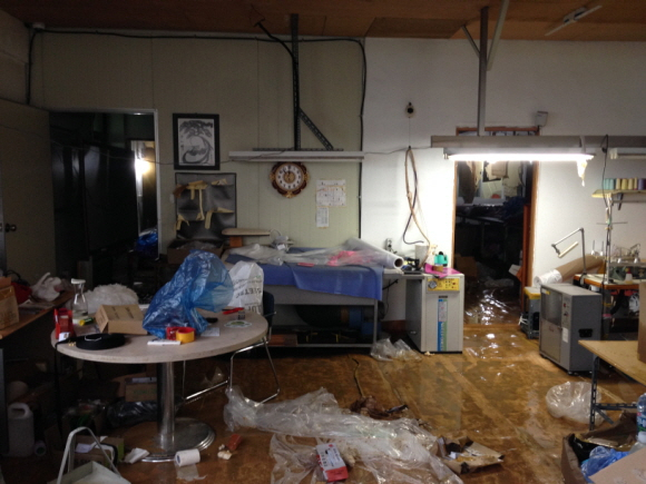 집중호우로 인해 애견관련 업체들 피해 속속..