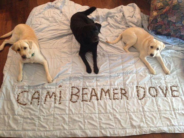 사료를 이용해 애견의 이름을 작성하고 사진찰칵..