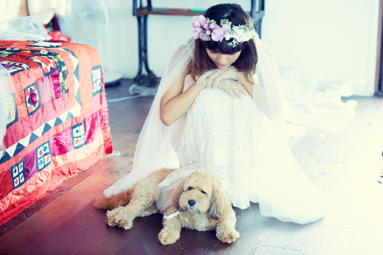 새신부 이효리 웨딩사진 공개 '애견 순심이도 함께'