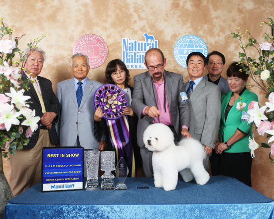 개, 고양이 2천마리 참가 '서울 FCI 국제 도그쇼 & 올캣 페스티벌' 성황리 개최