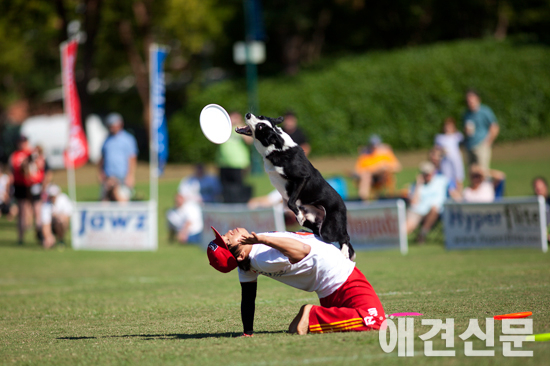 한상준 선수, 2013 스카이하운즈 월드 챔피언 등극