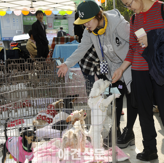 서울시 광진구, '제3회 유기동물과의 만남의 날' 개최
