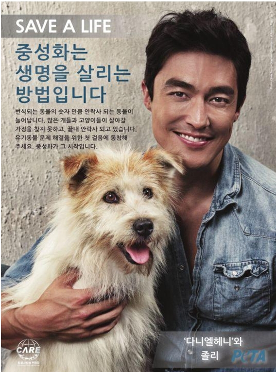 다니엘 헤니, 유기동물 캠페인에 재능기부 사지 말고 입양하세요