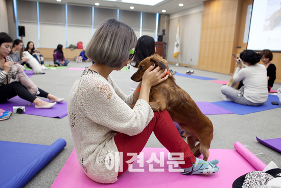 제15회 국제애완동물·용품박람회 'KOPET2013' 성공리에 개최