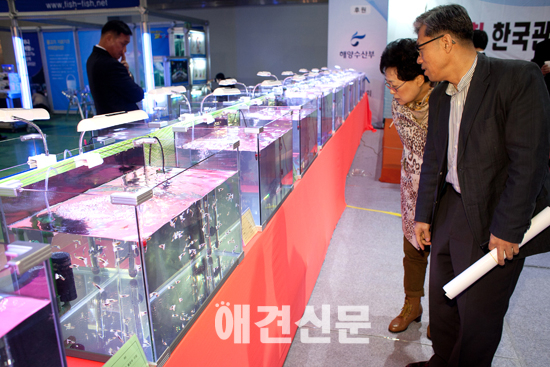 제15회 국제애완동물·용품박람회 'KOPET2013' 성공리에 개최