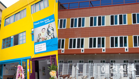 '2013 애견신문 이슈 TOP7'