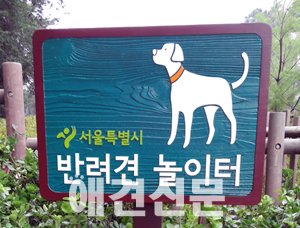 '2013 애견신문 이슈 TOP7'