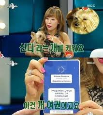 조수미씨 애견 통키, 잃어버려..