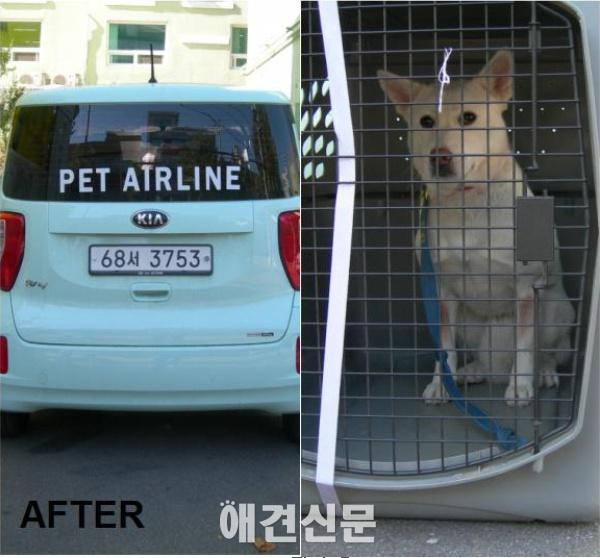 미국으로 입양간 봄이, 유명 할리우드 스타의 후원으로 새로운 가정 찾아