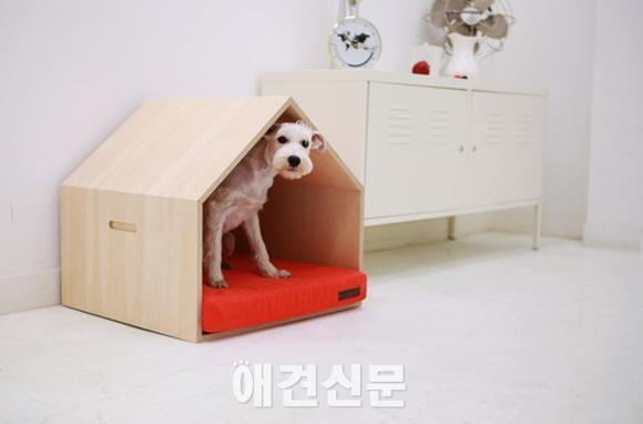 따듯한 감성을 지닌 펫 하우스, 2월 19일부터 앤 갤러리에서 전시