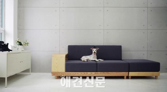 따듯한 감성을 지닌 펫 하우스, 2월 19일부터 앤 갤러리에서 전시