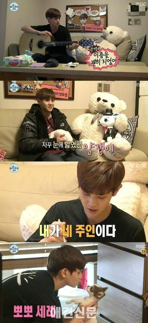 아이돌 그룹 비스트 양요섭, 애견사랑 가득..