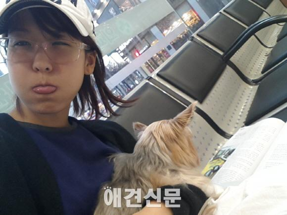 21살 요크셔 골프와 방송인 이슬비