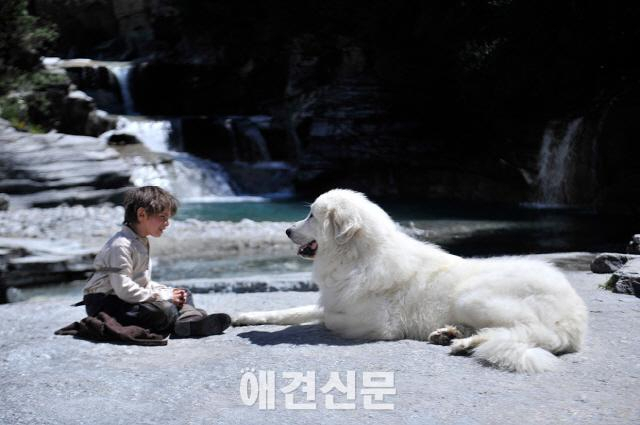 네슬레 퓨리나, 영화 <벨과 세바스찬>과 함께