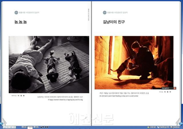 농림수산검역본부, 동물사랑 사진 공모전 모음집 인기..