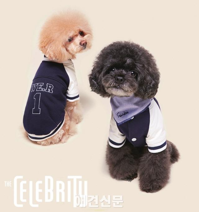 EXO 백현, 반려동물을 위한 컬래버레이션 제품 출시