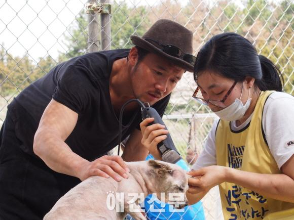 가수 이효리, 제주도에서도 유기견 사랑 가득..