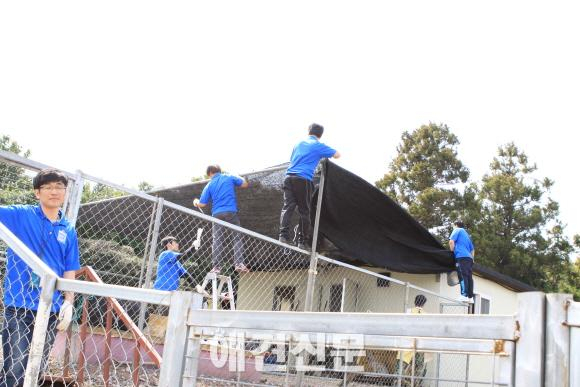 가수 이효리, 제주도에서도 유기견 사랑 가득..