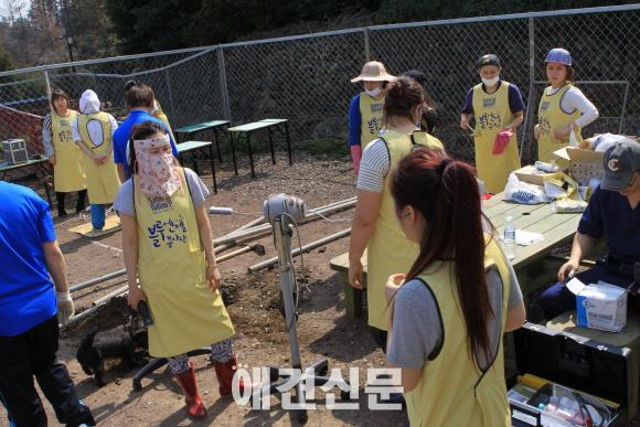 가수 이효리, 제주도에서도 유기견 사랑 가득..