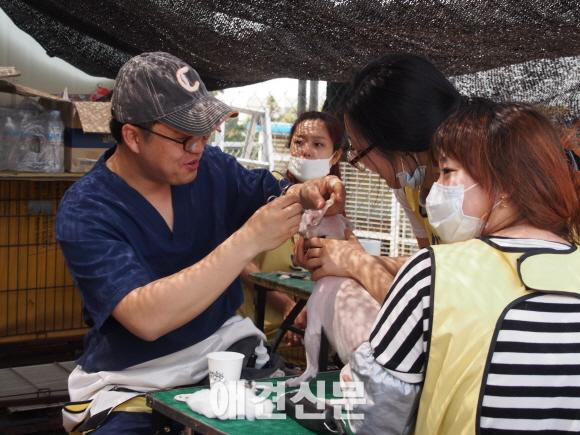 가수 이효리, 제주도에서도 유기견 사랑 가득..