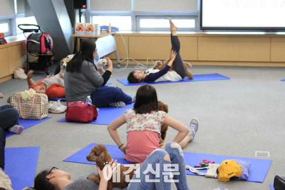 KOPET 2014, 양재AT센터에서 3만여명 관람..