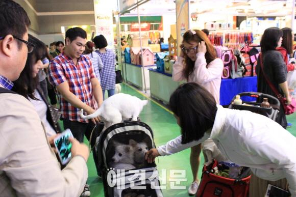 KOPET 2014, 양재AT센터에서 3만여명 관람..