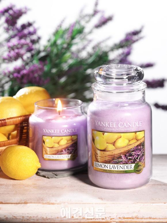 애견인들의 MUST HAVE ITEM, 양키캔들의 임미숙 대표를 만나다.