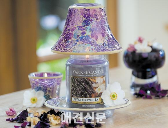 애견인들의 MUST HAVE ITEM, 양키캔들의 임미숙 대표를 만나다.